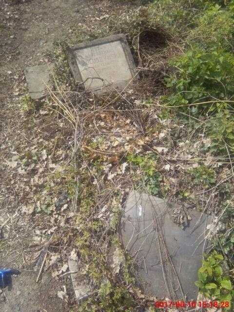Стан могили Фердинанда Полюшинського до відновлюючих робіт