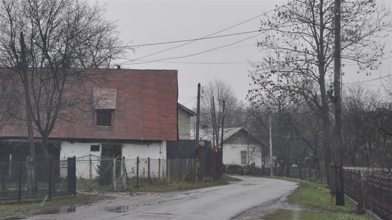 Вулиця Сівецька восени