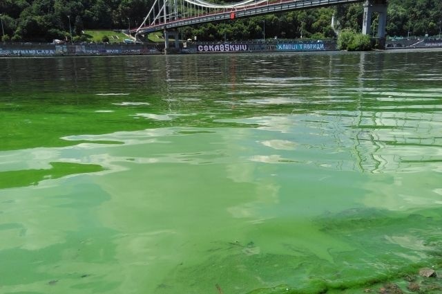 Вода в Дніпрі, липень 2019 року