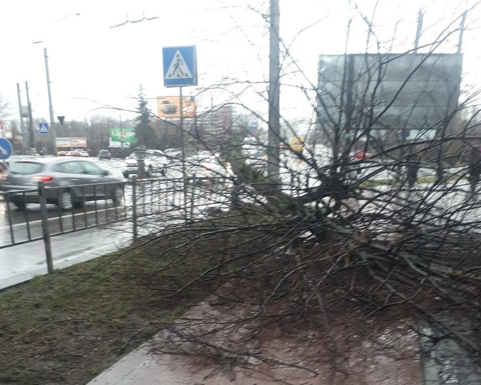 Івано-Франківськ, вулиця Героїв УПА