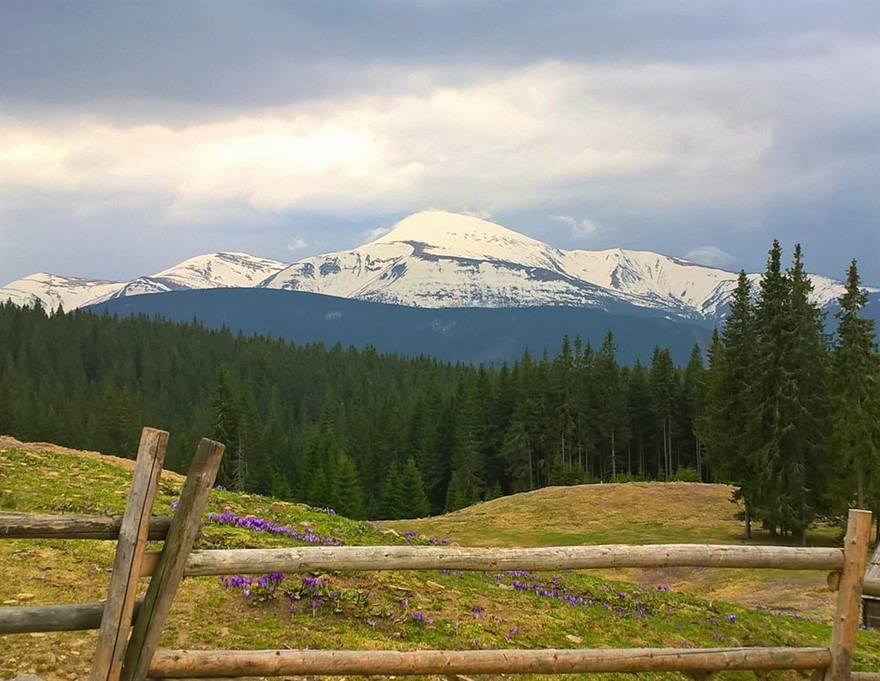 Говерла